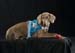 1005-KyraChalcy_145