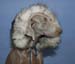 2210-huskyhat_side
